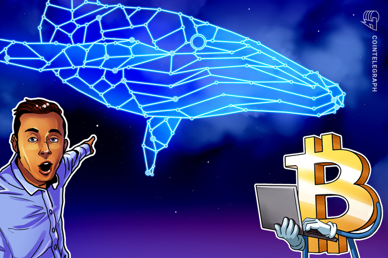 Bitcoin whales are starting to accumulate again at $71K: Santiment