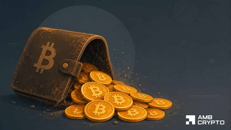 Bitcoin wallet wakes after 12.7 years – What happened to its 500 BTC?