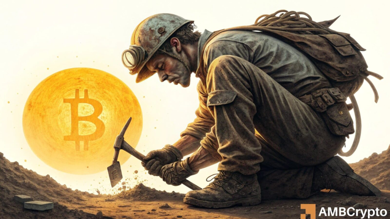 Bitcoin nears $80K resistance – But a supply shock has started forming