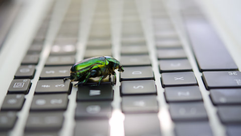 Bitcoin developers flag 85 critical bugs in an 