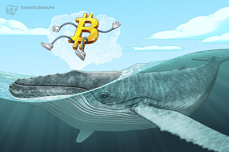 Bitcoin OG selling eases as dormant BTC movement hits 4-year low: Galaxy