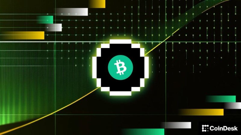 Bitcoin hits wall at $80,000, one analyst says the pullback is temporary