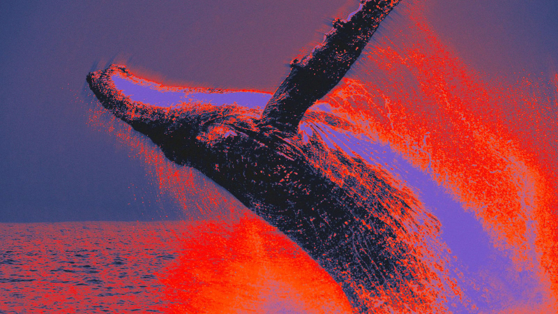 Bitcoin whale moves $378 million in BTC after six years of dormancy: onchain data