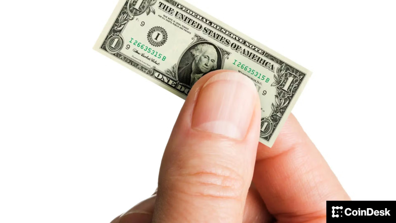 Small investors are buying bitcoin. For a rally to succeed, the whales need to join in.