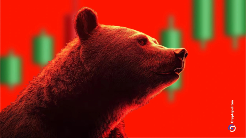 Bitcoin UTXOs in Loss Hit All-Time High: What It Means for the Market