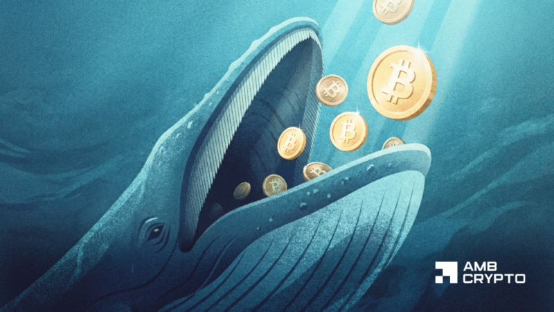 Bitcoin whale count tops 20K – Is a BTC supply crunch ahead?