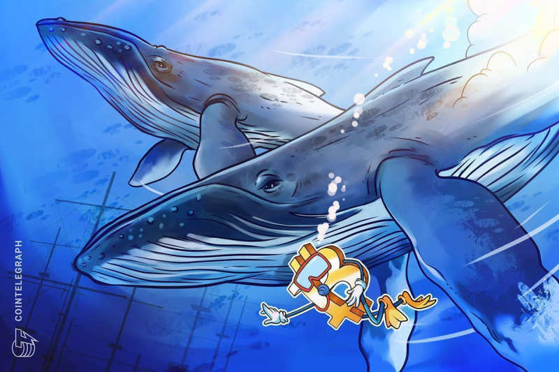 New Bitcoin whales are trapped underwater, but for how long?
