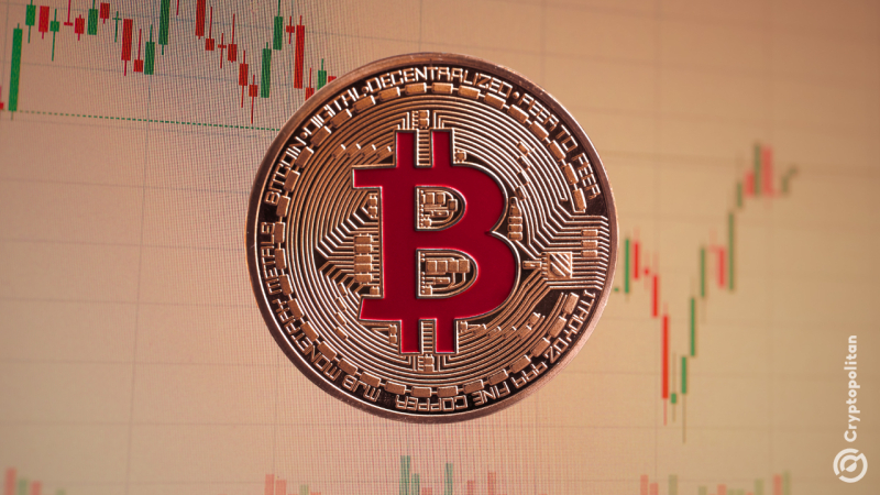 A worker at Bitcoin Beach forgot how her bitcoin app worked and called the scene dead