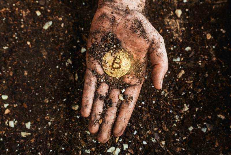 Why Satoshi-Era Bitcoin Are Relevant To Market Dynamics — Analyst Explains