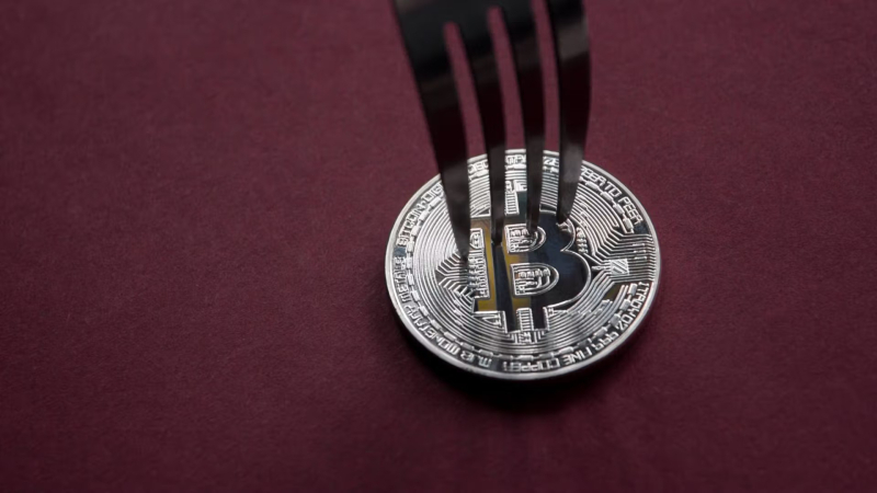 Bitcoin holders risk losing real BTC if they sell coins from BIP-110 fork, says developer